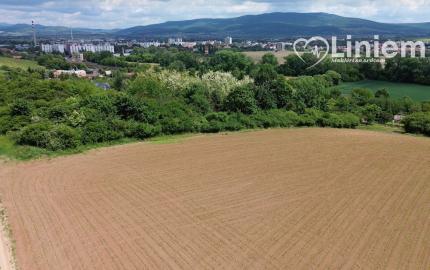 Predaj vinice a pozemku pri Zlatých Moravciach – Dolné Vinice