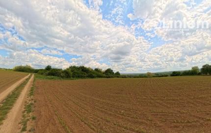 Predaj vinice a pozemku pri Zlatých Moravciach – Dolné Vinice