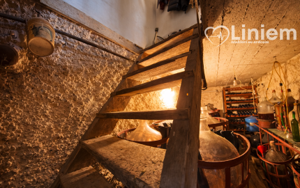 Rodinný dom Dvory nad Žitavou