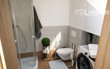 Prenájom 2 izbový byt - Košice - Staré Mesto, Hlavná