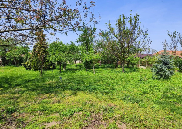 Exkluzívna ponuka: 4-izbový bezbariérový dom snov s nádhernou záhradou!