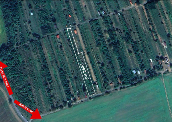 NA PREDAJ: Vinica s potenciálom – Kozárovce, 2092 m²