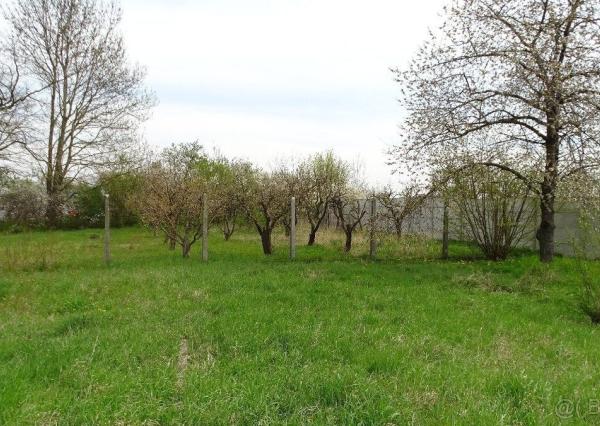 Slnečný stavebný pozemok v Poľnom Kesove. Zaujímavá cena!