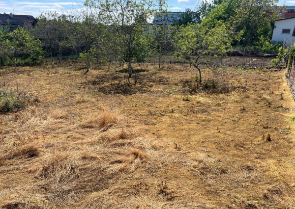 Predaj pozemku v obci Horné Obdokovce