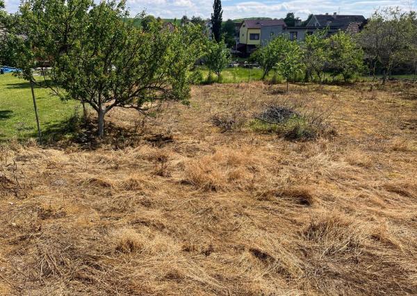Predaj pozemku v obci Horné Obdokovce