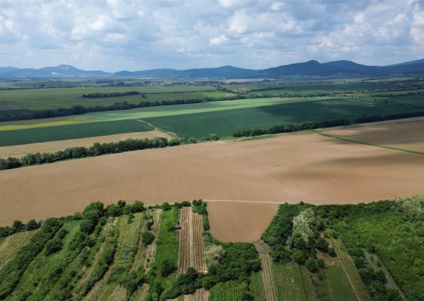 Predaj vinice a pozemku pri Zlatých Moravciach – Dolné Vinice