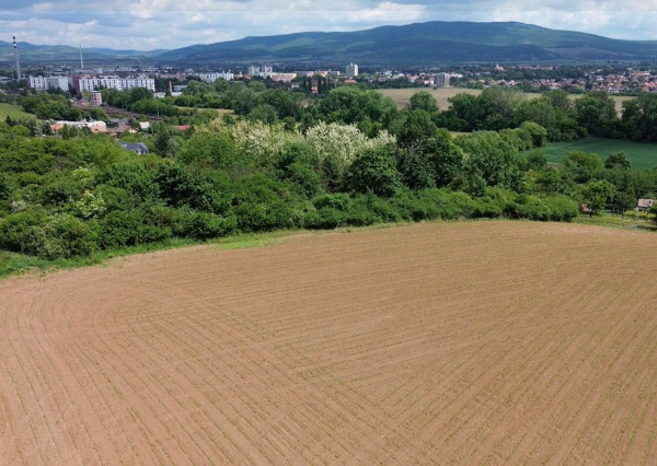Predaj vinice a pozemku pri Zlatých Moravciach – Dolné Vinice