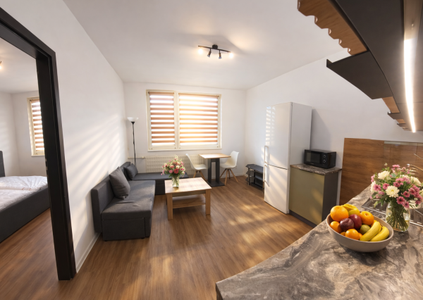 EXKLUZÍVNE-Prenájom 1-izbového bytu - Nitra, Alexyho ulica