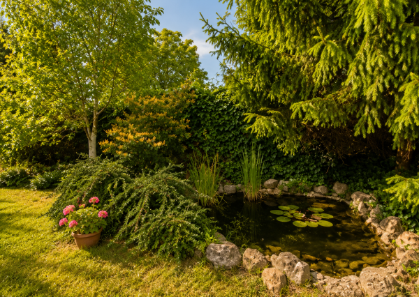 🏡 NA PREDAJ: 3-izbový vidiecky dom s veľkou záhradou – Horný Vinodol