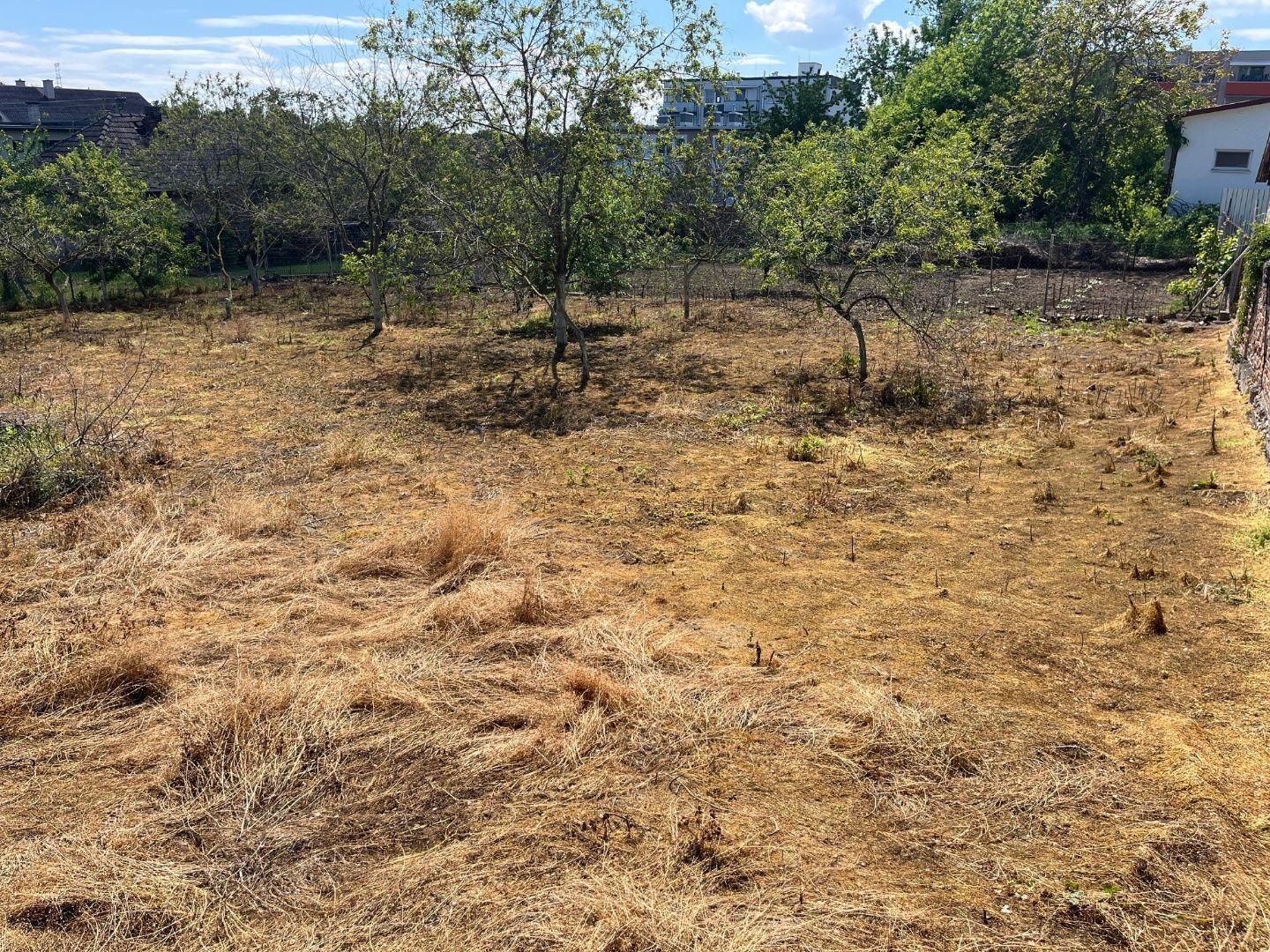 Predaj pozemku v obci Horné Obdokovce
