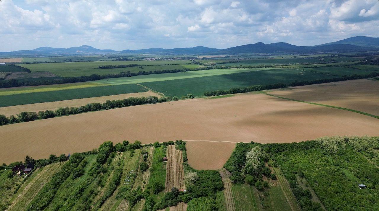 Predaj vinice a pozemku pri Zlatých Moravciach – Dolné Vinice